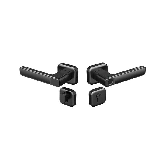 Philips DDL101-3HBS Fingerprint Lever Lock