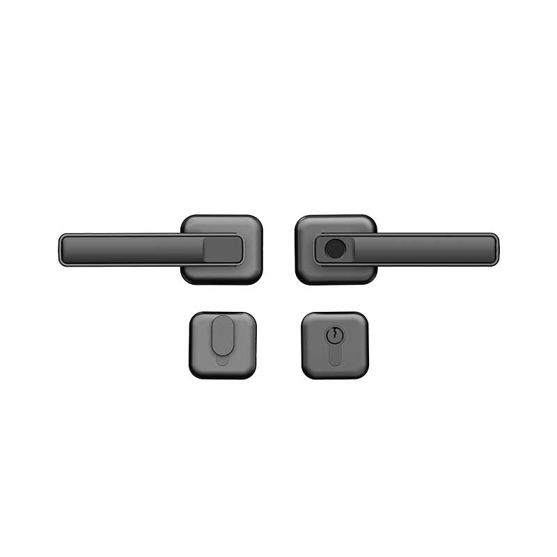 Philips DDL101-3HBS Fingerprint Lever Lock