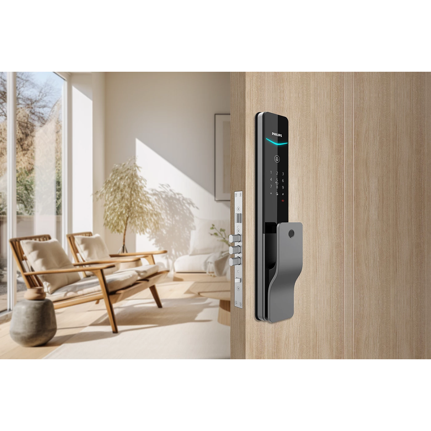 Philips Easykey DDL801-5HBS Push-pull smart lock