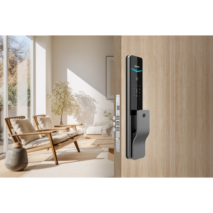 Philips Easykey DDL801-5HBS Push-pull smart lock